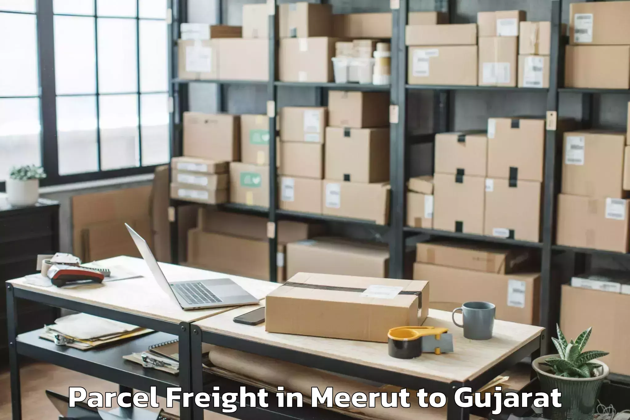 Expert Meerut to Wadhwan Parcel Freight